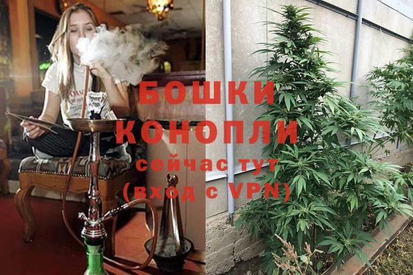 тгк Саяногорск