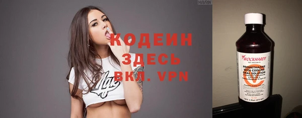 твердый Сатка