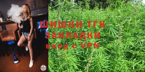 твердый Сатка