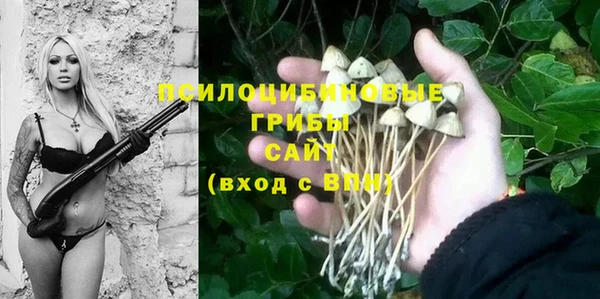 тгк Саяногорск
