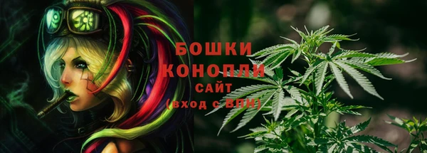 твердый Сатка