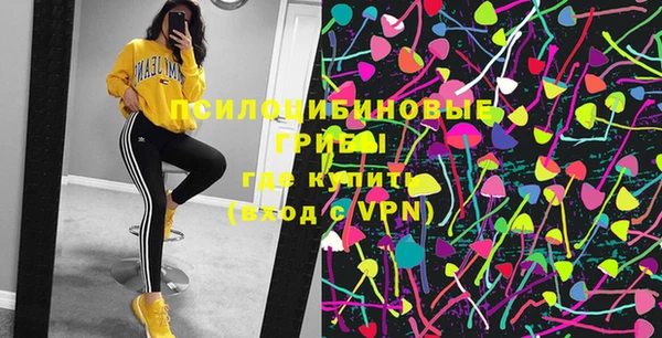 тгк Саяногорск