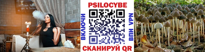 Купить закладки  Калтан  Псилоцибиновые грибы GOLDEN TEACHER 
